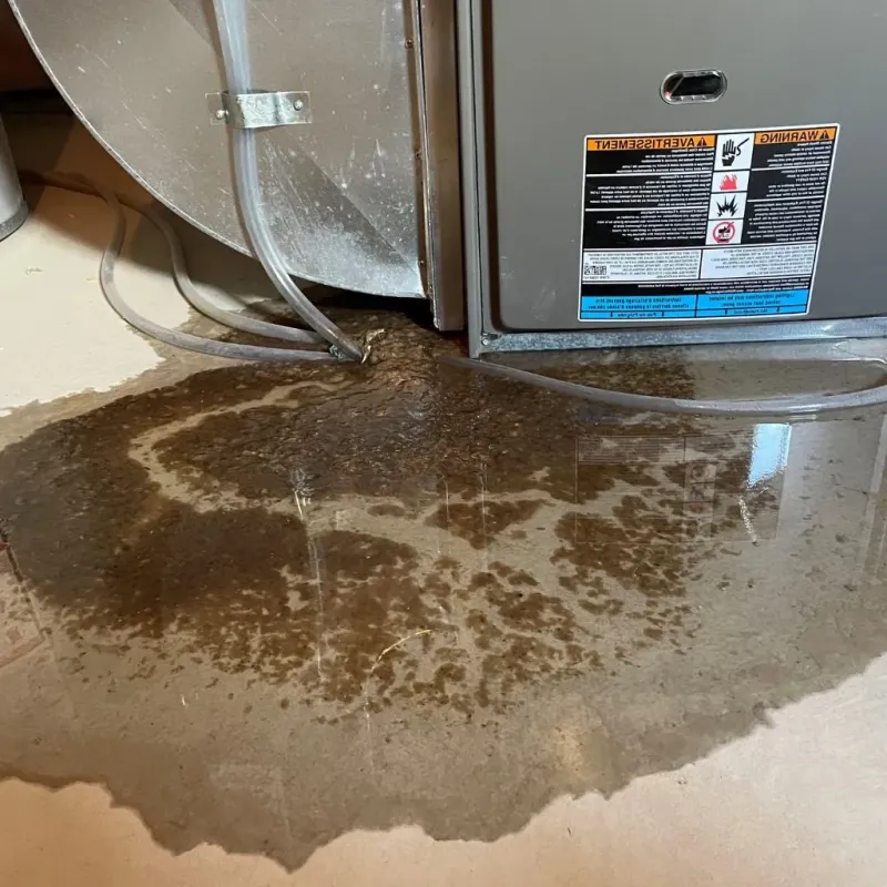 Pipe Burst and Leak Restoration in Murfreesboro, TN